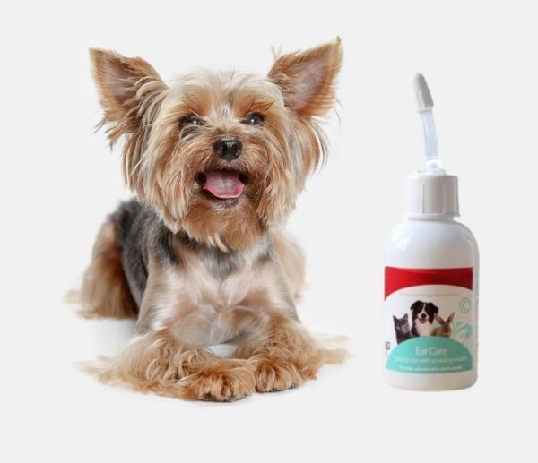 yorkie ear cleaning