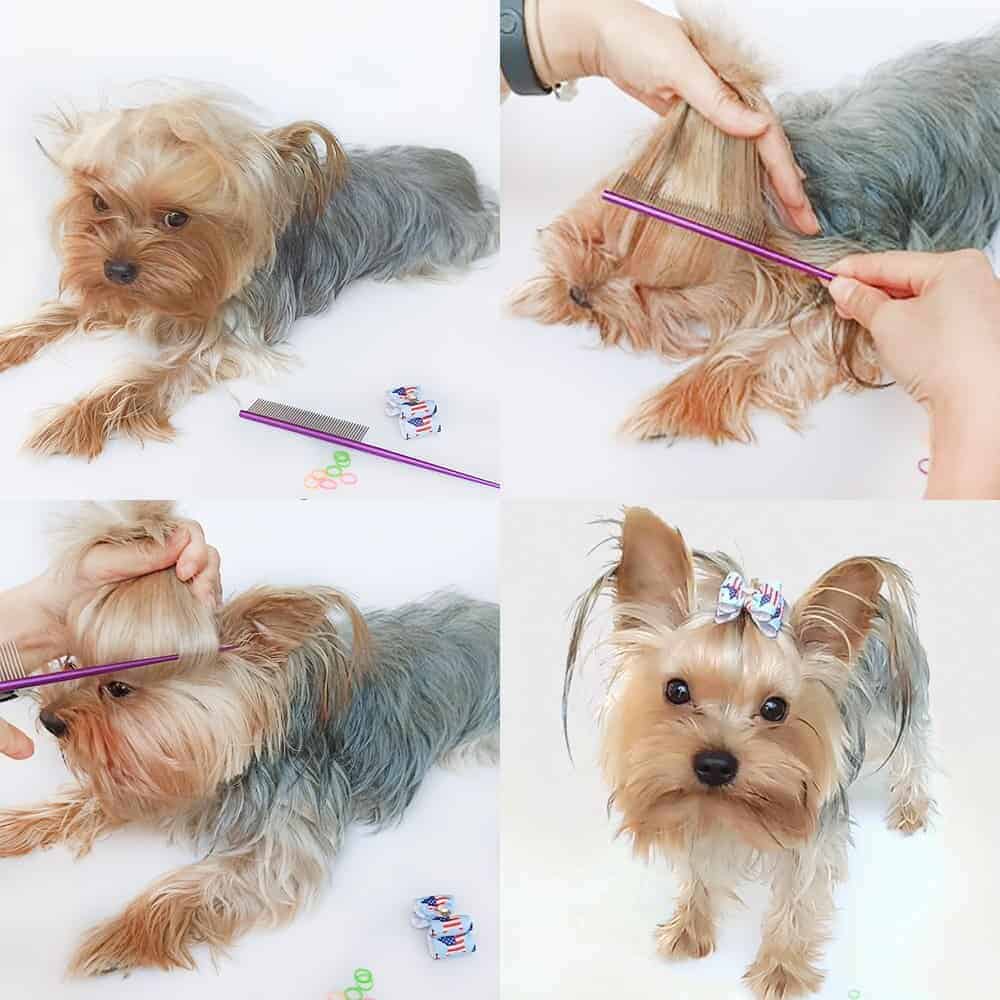brushes for yorkies